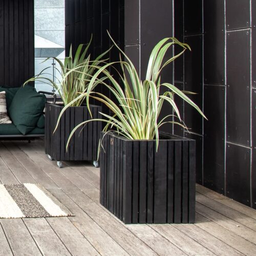 GrowBig Plantekasse fra SQUARELY i Sort Olieret Asketræ | 45x45x52cm