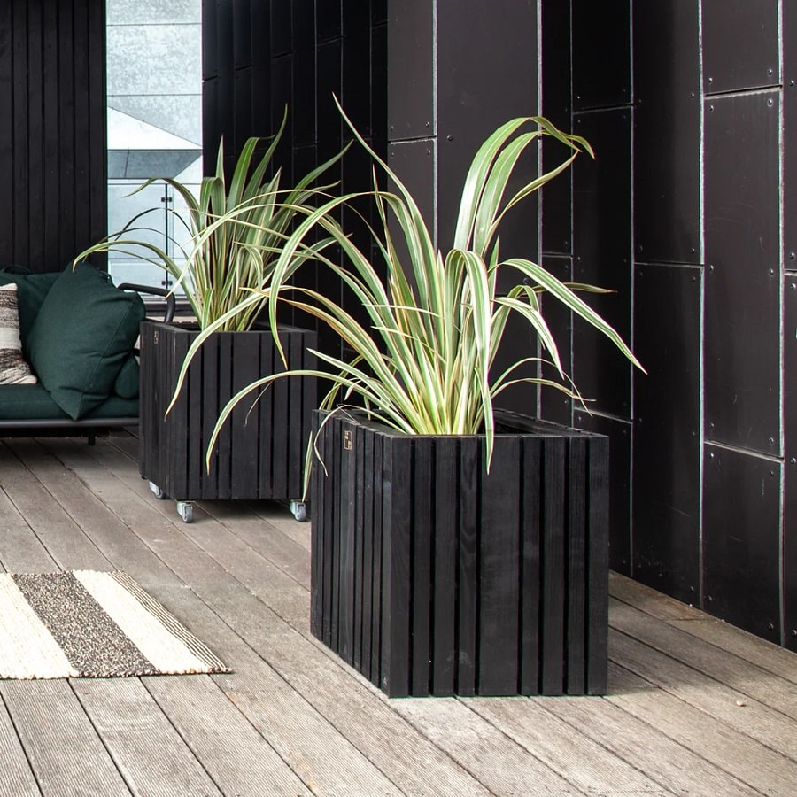 GrowBig Plantekasse fra SQUARELY i Sort Olieret Asketræ | 45x45x52cm