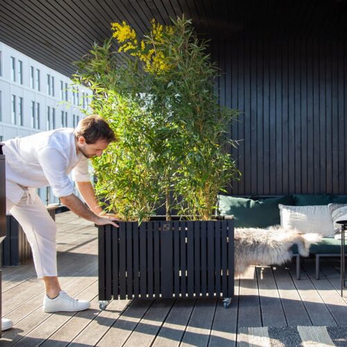 GrowLarge Plantekasse fra SQUARELY i Sort Olieret Asketræ | 90x45x52cm