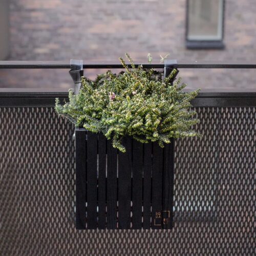 GrowOn + HoldOn Plantekasse Inkl. Strop fra SQUARELY i Sort Olieret Asketræ