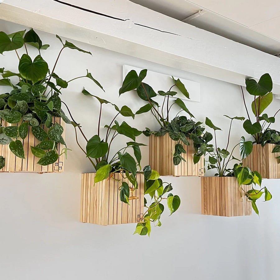 GrowOn Wall Plantekasse Inkl. Kroge fra SQUARELY i Naturolieret Asketræ | 22x22x24cm - Billede 3