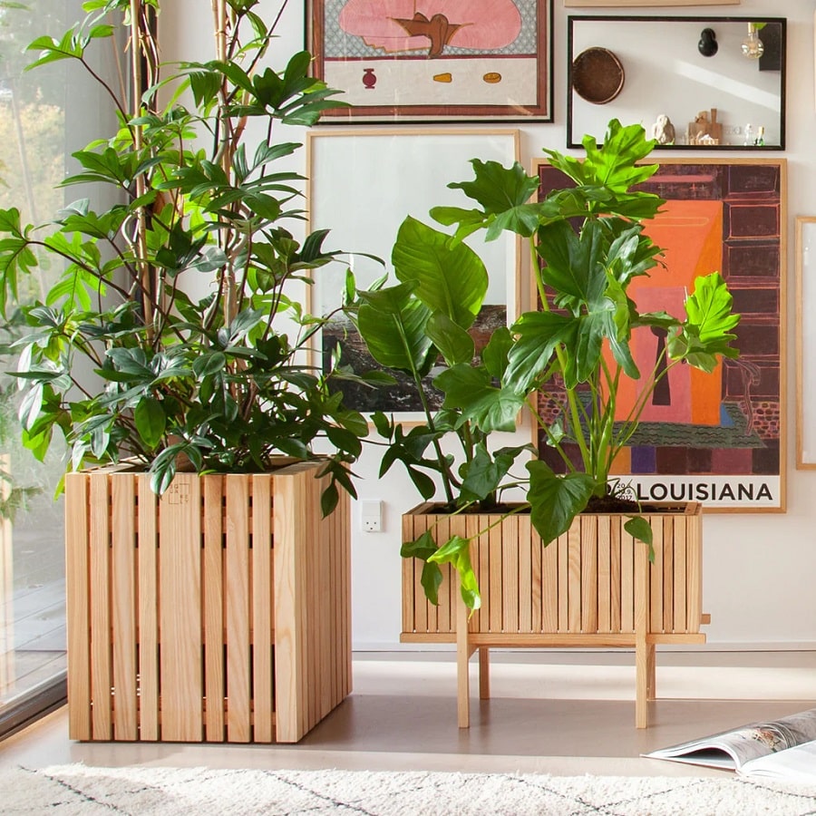 GrowWide + StandWide Plantekasse Inkl. Stativ fra SQUARELY i Naturolieret Asketræ - Billede 3