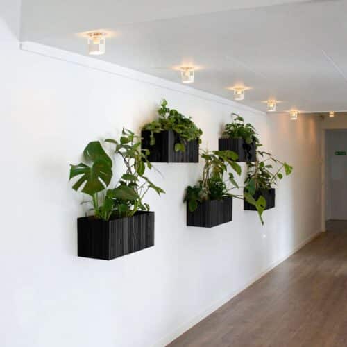 GrowWide Wall Plantekasse Inkl. Kroge fra SQUARELY i Sort Olieret Asketræ | 60x22x24cm