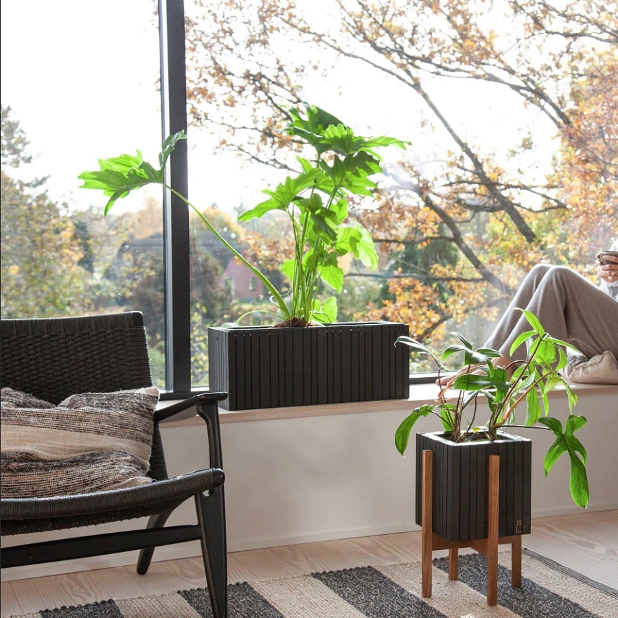 GrowWide Plantekasse fra SQUARELY i Sort Olieret Asketræ | 60x22x24cm - Billede 2