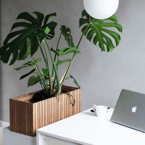 GrowWide Plantekasse fra SQUARELY i Mørk Olieret Egetræ | 60x22x24cm