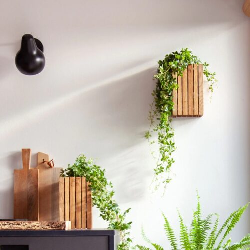 GrowSMALL Wall Plantekasse Inkl. Kroge fra SQUARELY i Naturolieret Asketræ | 14x14x24cm