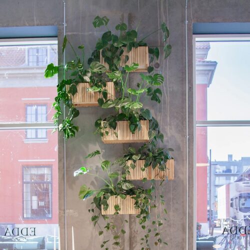 GrowWide Wall Plantekasse Inkl. Kroge fra SQUARELY i Naturolieret Asketræ | 60x22x24cm