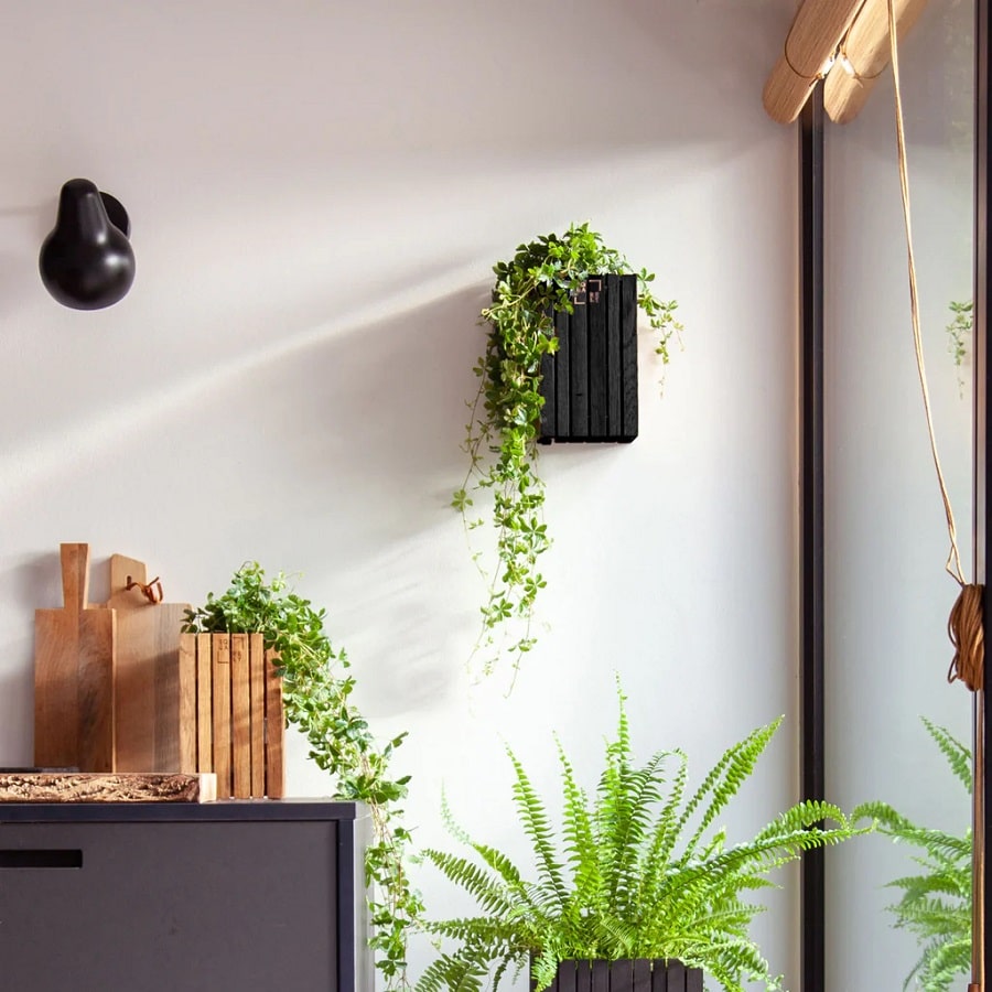 GrowSMALL Wall Plantekasse Inkl. Kroge fra SQUARELY i Sort Asketræ | 14x14x24cm