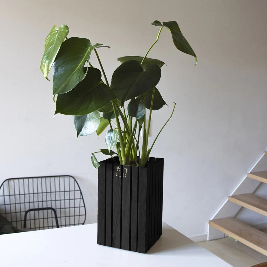 GrowSMALL Plantekasse fra SQUARELY i Sort Asketræ | 14x14x24cm - Billede 4