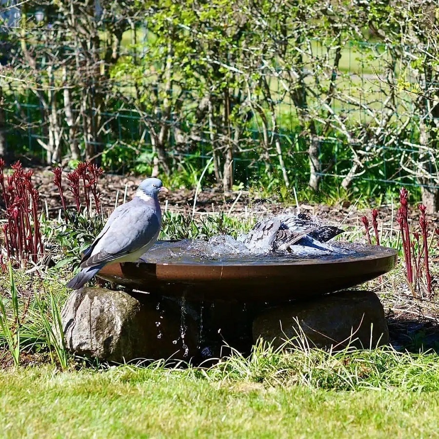 Spejlbassin med kant i Rustfarvet Cortenstål fra Raw Garden | Ø60