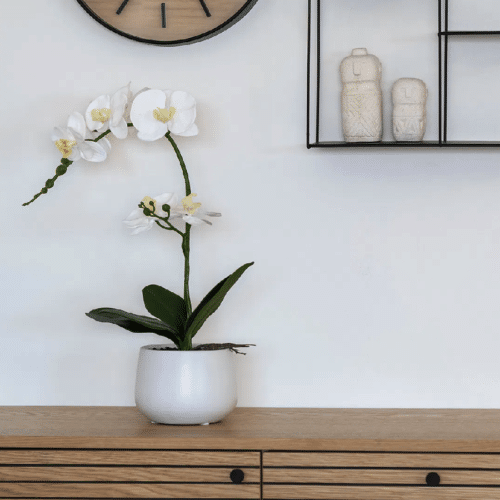 Orkidé - Kunstig Plante i Grøn/Hvid Fra House Nordic | PE Plastik - H:49 cm