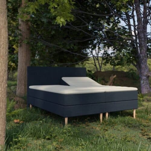 Organic Elevations Seng med Pocket og Latex + Topmadras i 100% Naturlatex og Bomuldsbetræk Fra Organic Sleep | 7 Zoner - Omega Blå