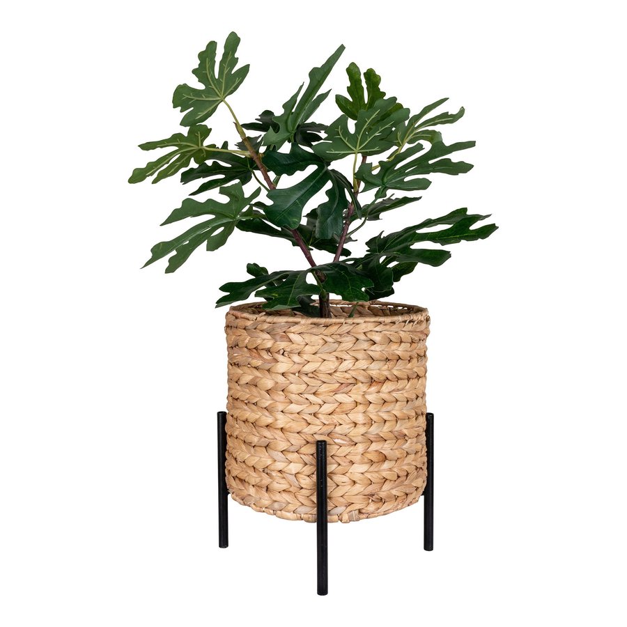 Antas Planteskjuler I Naturflet Fra House