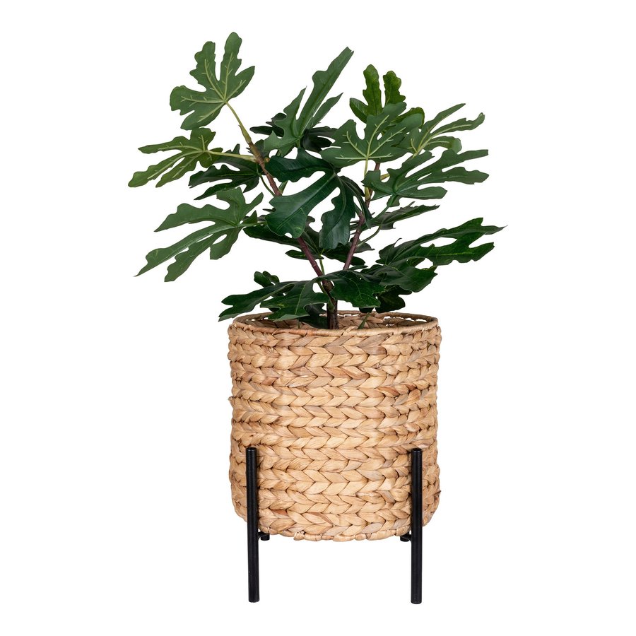 Antas Planteskjuler I Naturflet Fra House