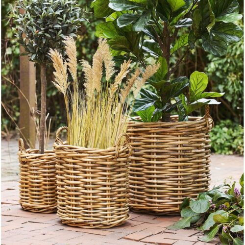 Burton Kurve Af Naturfarvet Rattan |